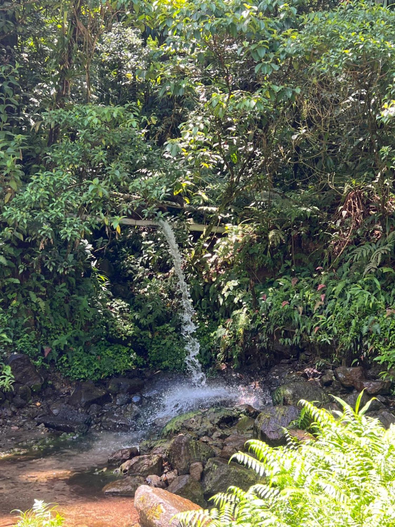 Le Ketmie Nature Et Decouverte Fond-Saint-Denis 외부 사진
