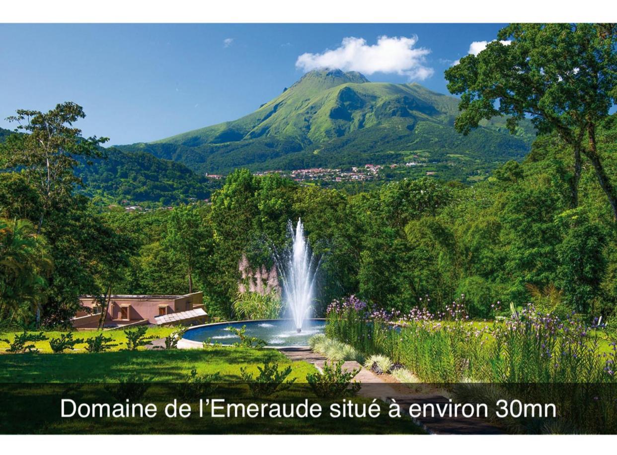 Le Ketmie Nature Et Decouverte Fond-Saint-Denis 외부 사진